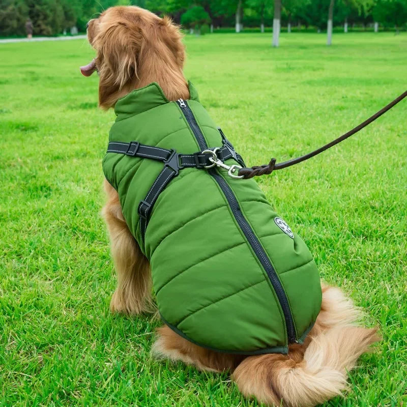 All-Weather Dog Jacket
