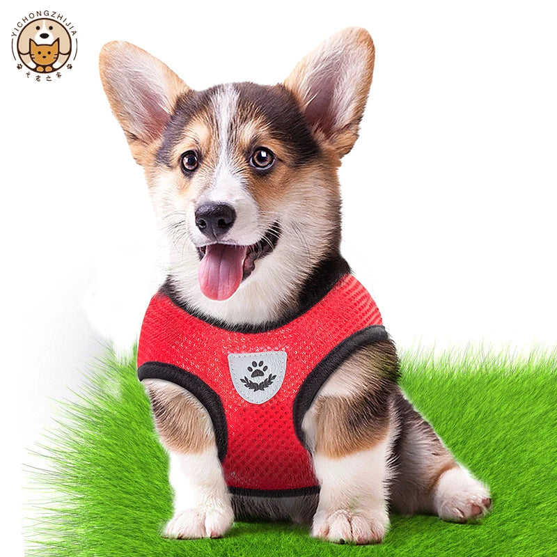 Adjustable Pet Harness Vest