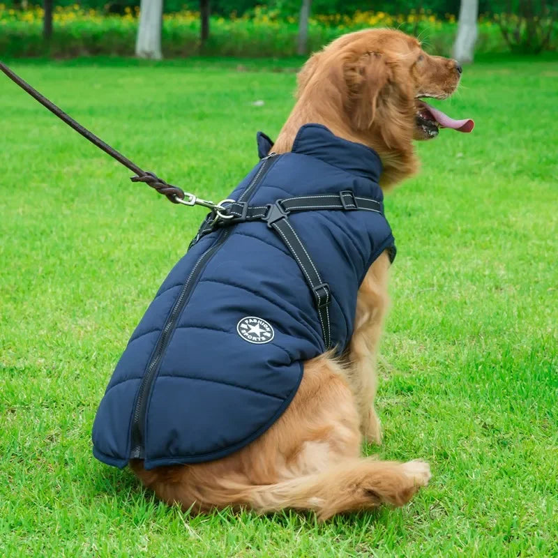 All-Weather Dog Jacket