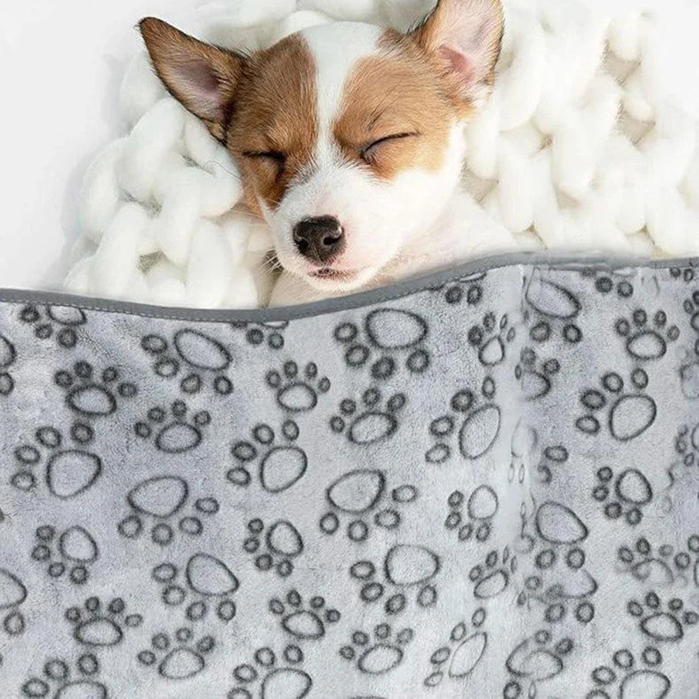 Cozy Winter Pet Blanket