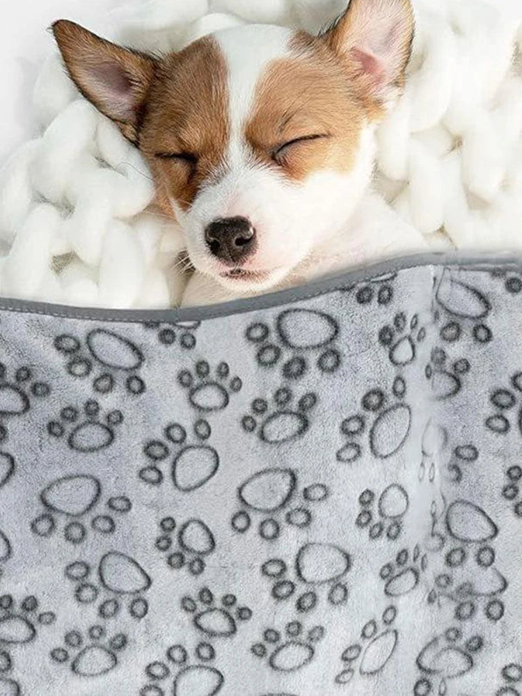 Cozy Winter Pet Blanket