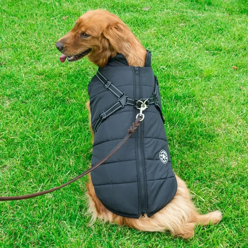 All-Weather Dog Jacket
