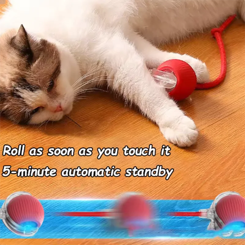 Automatic Cat Teaser Toy