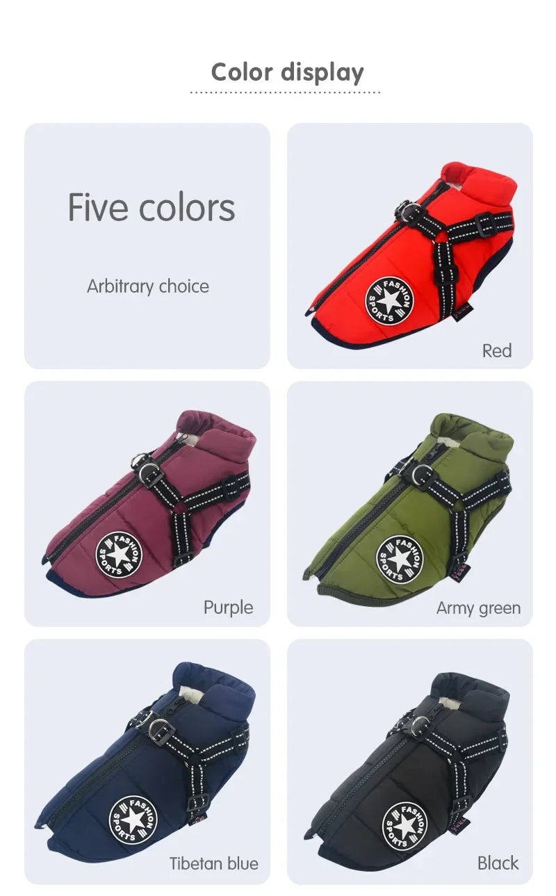 All-Weather Dog Jacket