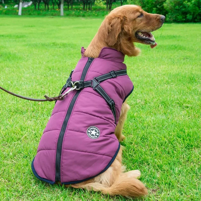 All-Weather Dog Jacket