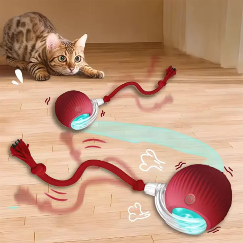Automatic Cat Teaser Toy