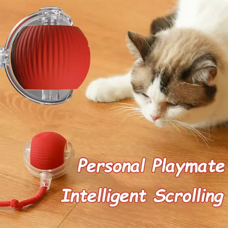 Automatic Cat Teaser Toy