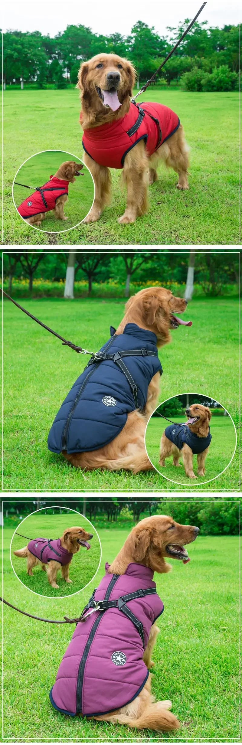 All-Weather Dog Jacket