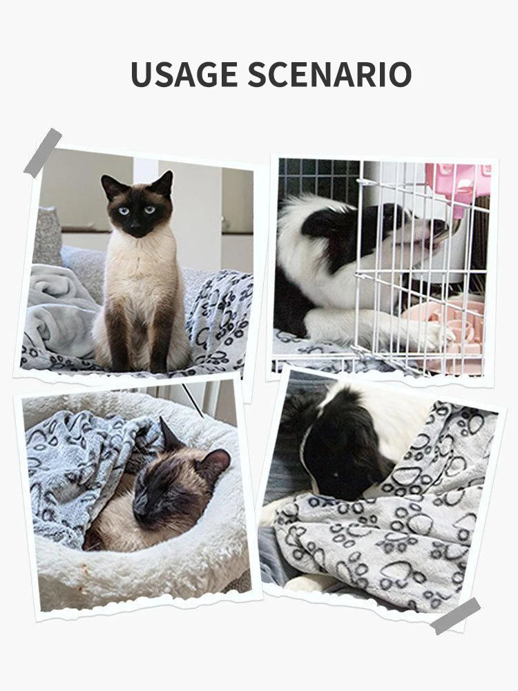 Cozy Winter Pet Blanket