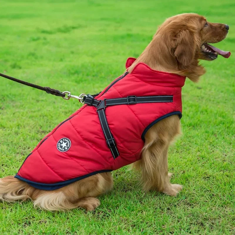 All-Weather Dog Jacket