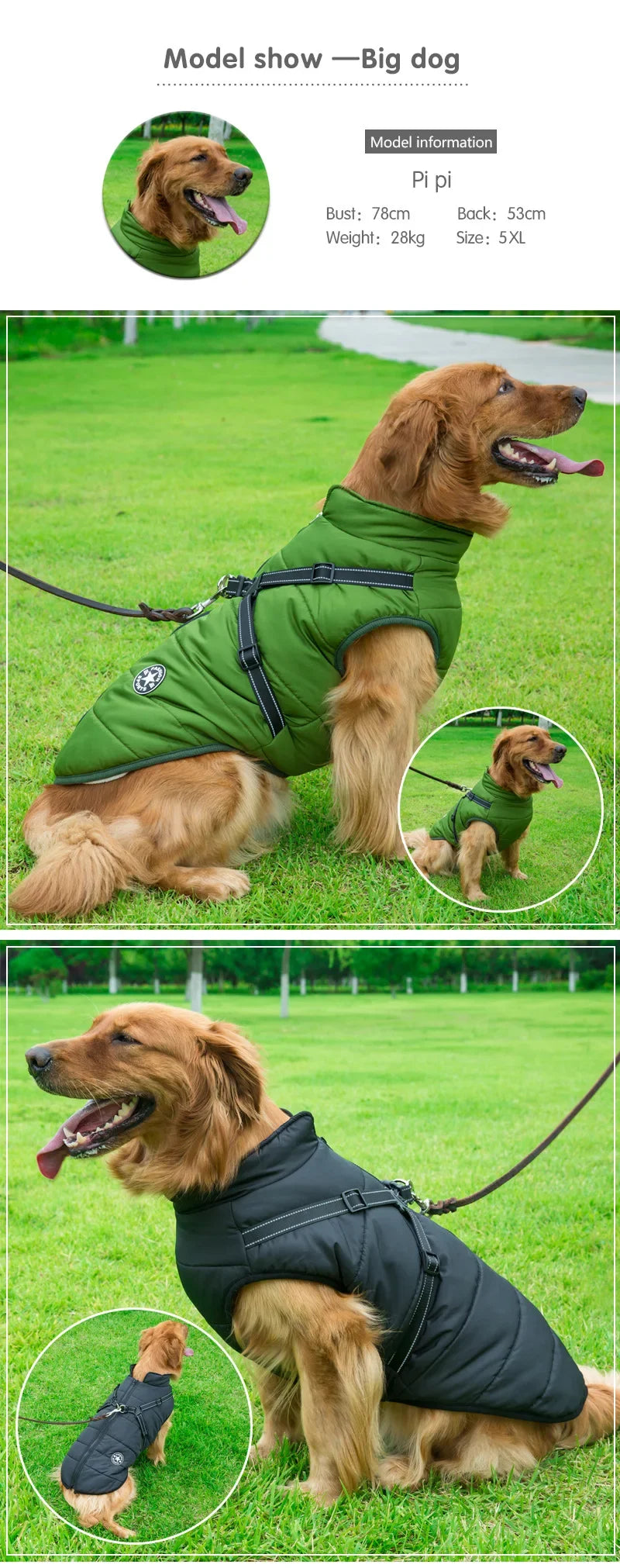 All-Weather Dog Jacket