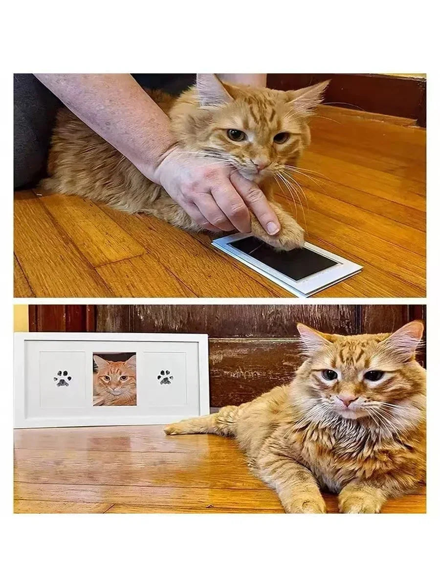 Pet Pawprint Memory Kit