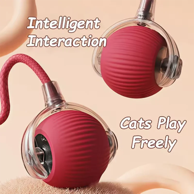 Automatic Cat Teaser Toy