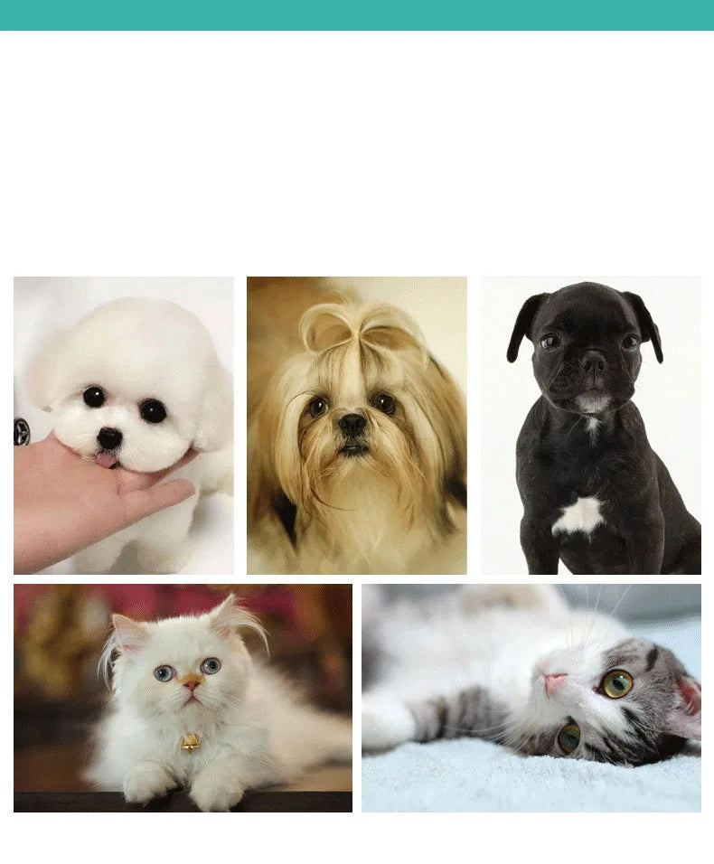 Silicone Pet Bath Brush