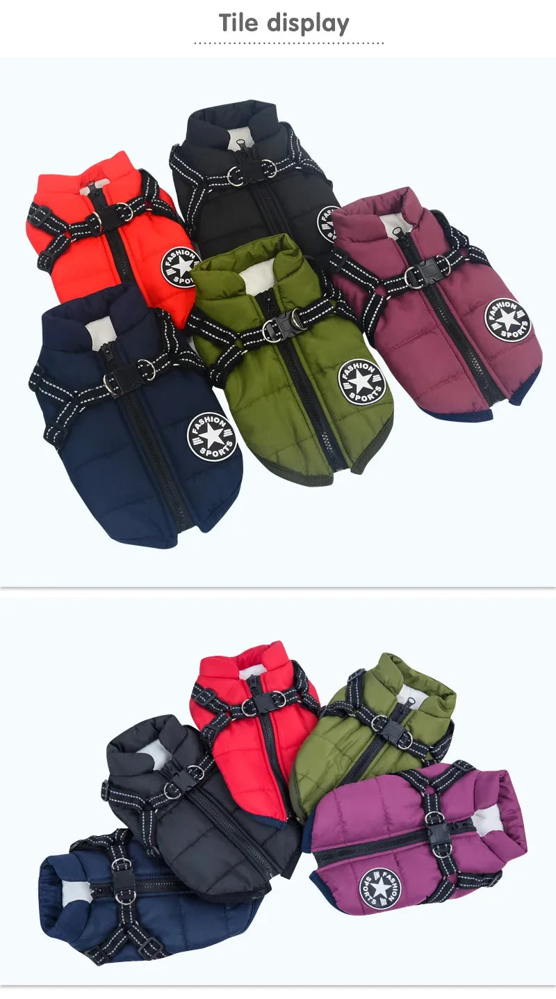 All-Weather Dog Jacket